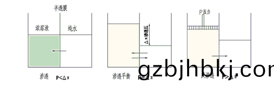 5f6493084d7054f810cc5a41a313464.png