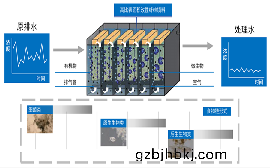 1652237153(1)_副本(ben).png