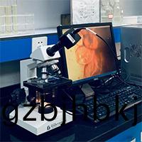 TECHNICAL CONSULTANCY SERVICE