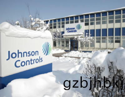 Johnson Control