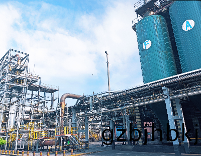 Orioncarbons (Qingdao)